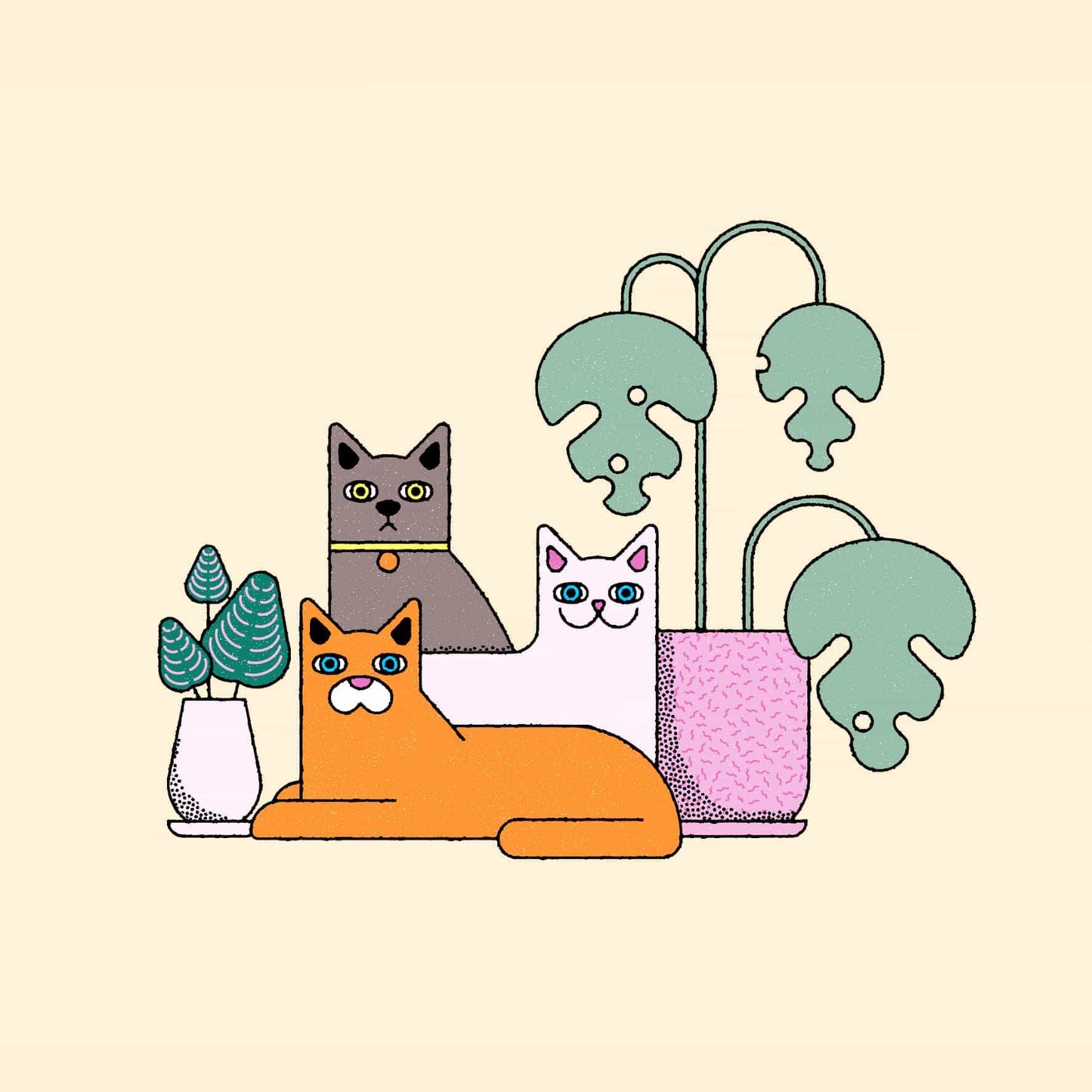 Three Cats