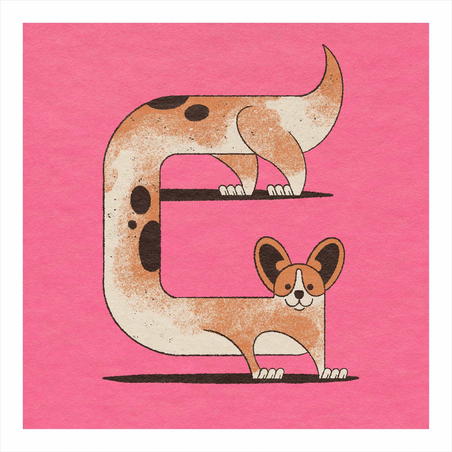 Corgi