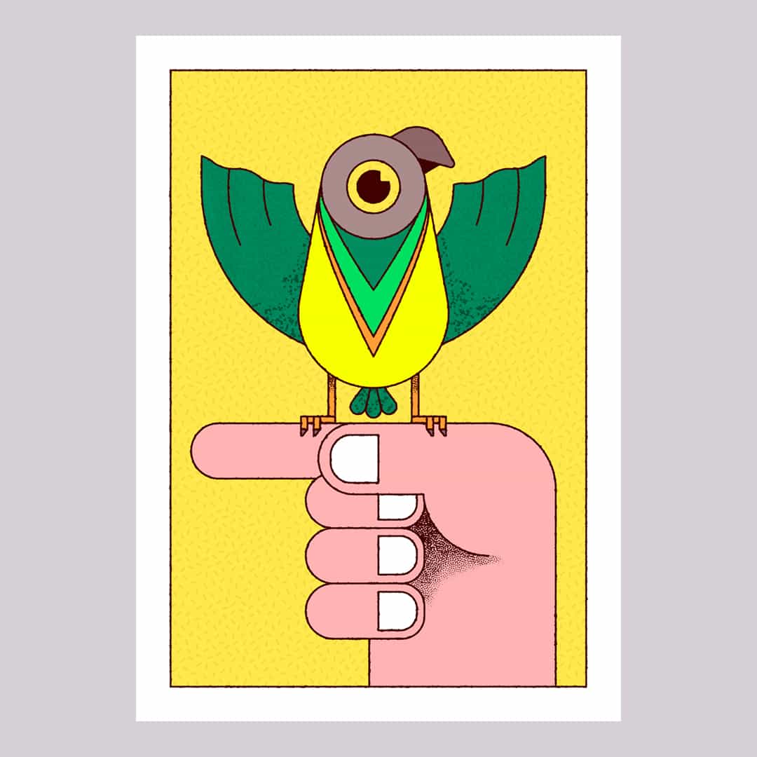 Tuci 01