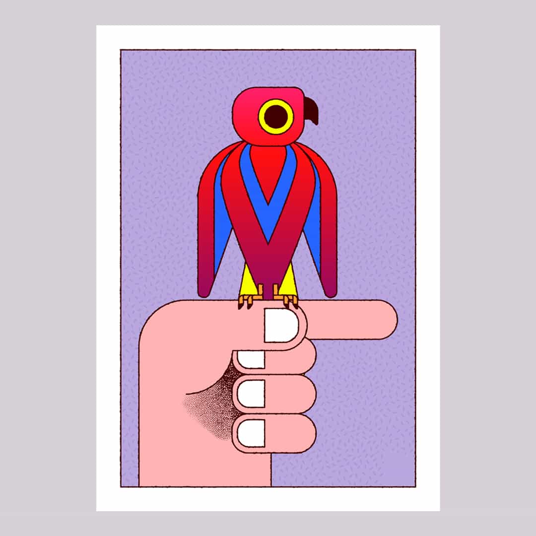 Tuci 03